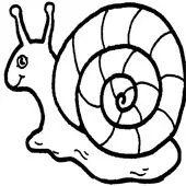 Snail Coloring 2