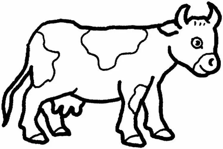 Animals Coloring Pages 5
