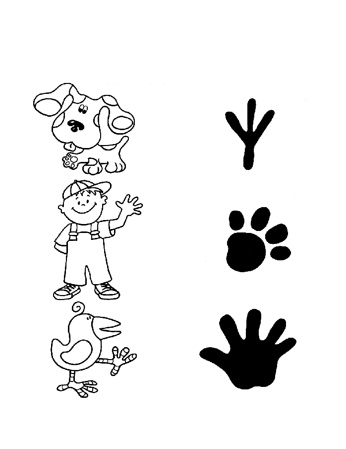 Blues Clues Coloring Pages 11