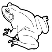 Frog Coloring Page 5