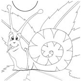 Snail Coloring 1