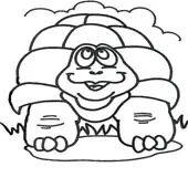 Turtle Coloring Pages 1