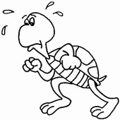 Turtle Coloring Pages 2